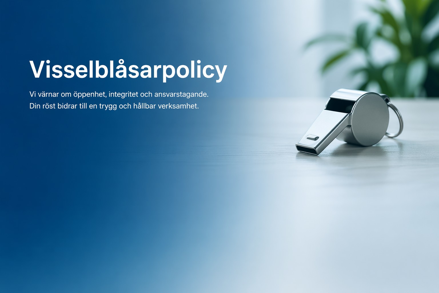Visselbl&aring;sarpolicy